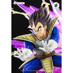 Vegeta Galick Gun TSUME