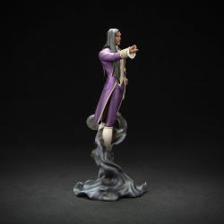 Castlevania Nocturne Estatua PVC Olrox 29 cm Dark Horse