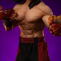 Mortal Kombat Estatua 1/10 Art Scale Liu Kang 23 cm IRON STUDIOS