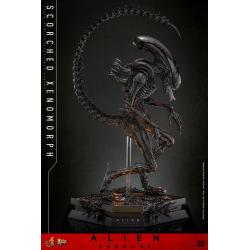 Alien: Romulus Figura Movie Masterpiece 1/6 Scorched Xenomorph 44 cm Hot Toys