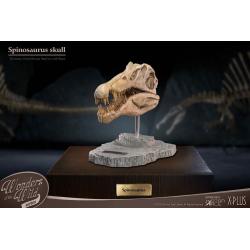 Wonders of the Wild Series Estatua Spinosaurus Head Skull 30 cm Star Ace Toys 