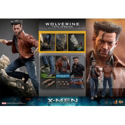 Wolverine (1973 Version) Dias del Futuro Pasado X-MEN DELUXE VERSION HOT TOYS