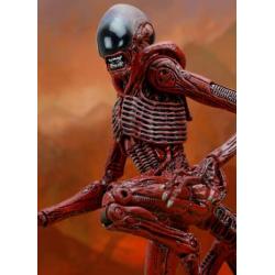 Aliens Genocide Pack de 2 Figuras Big Chap & Dog Alien 23 cm