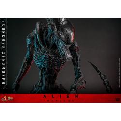 Alien: Romulus Figura Movie Masterpiece 1/6 Scorched Xenomorph 44 cm Hot Toys