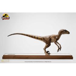  Jurassic Park Estatua 1/4 Velociraptor Clever Girl 49 cm (Con estuche acrílico) PARQUE JURASICO TOYNAMI