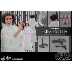 Star Wars: Princess Leia - Sixth Scale Figure