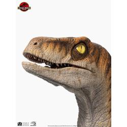 Jurassic Park Estatua tamaño real Male Velociraptor 75 cm  Elite Creature Collectibles 