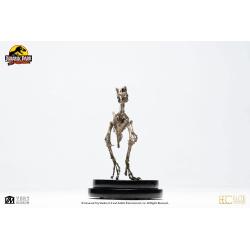 Jurassic Park Statue 1/8 Velociraptor Skeleton Bronze 24 cm