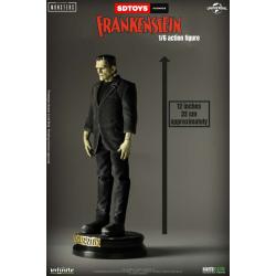 Frankenstein monster 1/6 action figura standard edition infinite statue