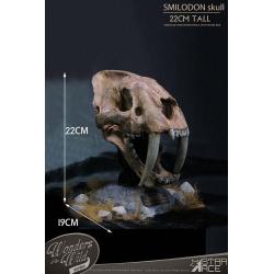 Wonders of the Wild Series Statue Smilodon Skull Fossil 22 cm