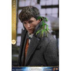 ANIMALES FANTASTICOS Newt Scamander  Sixth Scale Figure by Hot Toys