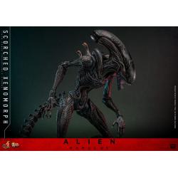 Alien: Romulus Figura Movie Masterpiece 1/6 Scorched Xenomorph 44 cm Hot Toys