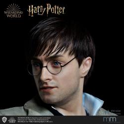 Cabeza de silicona para la estatua de tama?o real Harry Potter MMHP-HPDH-1