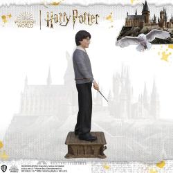 Harry Potter Life-Size Statue Harry Potter 174 cm