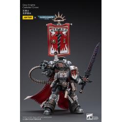 Warhammer 40k Figura 1/18 Grey Knights Castellan Crowe 12 cm Joy Toy (CN)