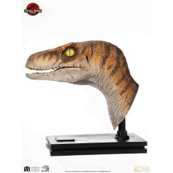 Jurassic Park Estatua tamaño real Male Velociraptor 75 cm  Elite Creature Collectibles 