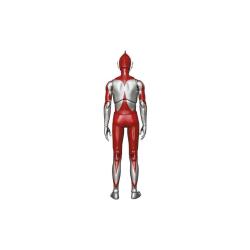 Ultraman Figura MAF EX Ultraman 16 cm