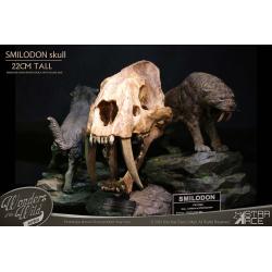 Wonders of the Wild Series Statue Smilodon Skull Fossil 22 cm