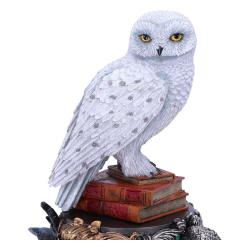 Harry Potter Figura Hedwig 22 cm  Nemesis Now