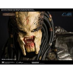 Aliens vs Predator busto 1/1 Scar Predator 65 cm