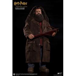 Harry Potter My Favourite Movie Action Figure 1/6 Rubeus Hagrid Deluxe Ver. 40 cm