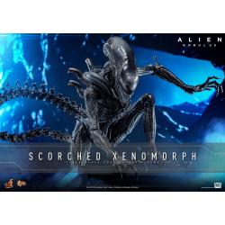 Alien: Romulus Figura Movie Masterpiece 1/6 Scorched Xenomorph 44 cm Hot Toys