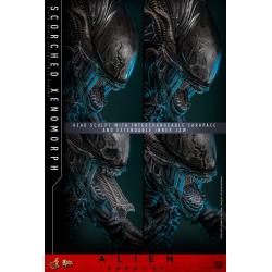 Alien: Romulus Figura Movie Masterpiece 1/6 Scorched Xenomorph 44 cm Hot Toys