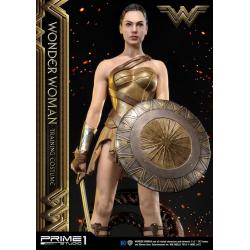 Wonder Woman Statue Wonder Woman Training Costume 79 cm