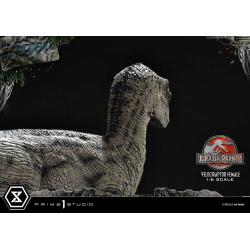 Jurassic Park III Estatua Legacy Museum Collection 1/6 Velociraptor Female Bonus Version 44 cm  Parque Jurasico Prime 1 Studio