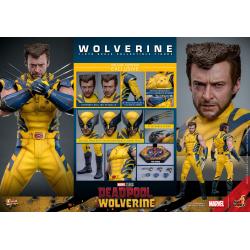 Deadpool & Wolverine Movie Masterpiece Figura 1/6 Wolverine (Deluxe Version) 31 cm hot toys