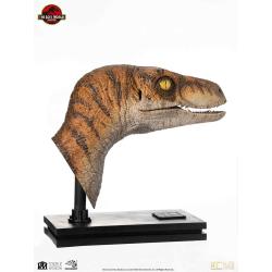 Jurassic Park Estatua tamaño real Male Velociraptor 75 cm  Elite Creature Collectibles 