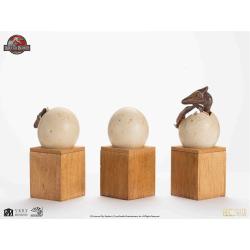 Jurassic Park ECC Elite Creature Line Estatua 1/2 Pterosaur Hatching 16 cm ELITE CREATURE COLLECTIBLES