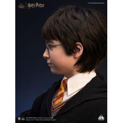 Harry Potter Busto 1/1 Harry 76 cm QUEEN STUDIOS
