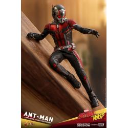 Ant-Man Sixth Scale Figure by Hot Toys Ant-Man and the Wasp - Movie Masterpiece Series   