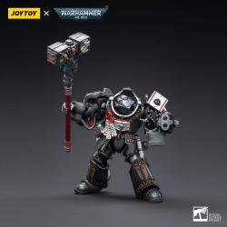 Warhammer 40k Figura 1/18 Grey Knights Terminator Caddon Vibova 13 cm  Joy Toy 