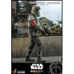  Transport Trooper™ Sixth Scale Figure by Hot Toys The Mandalorian - Television Masterpiece Series