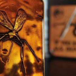 Parque Jurásico Lingote Mosquito in Amber Limited Edition  FaNaTtik 