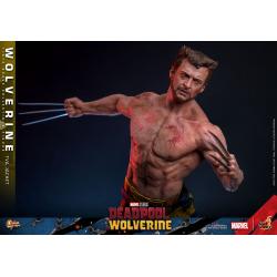 Deadpool & Wolverine Movie Masterpiece Figura 1/6 LOBEZNO(TVA Jacket Version) 31 cm HOT TOYS