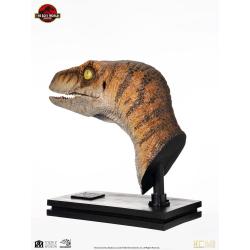 Jurassic Park Estatua tamaño real Male Velociraptor 75 cm  Elite Creature Collectibles 