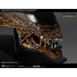 Alien Resurrection Replica 1/1 New Warrior Head 90 cm