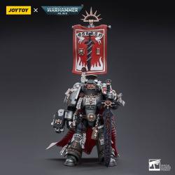 Warhammer 40k Figura 1/18 Grey Knights Castellan Crowe 12 cm Joy Toy (CN)