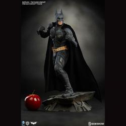 Batman: The Dark Knight Premium Format Figure