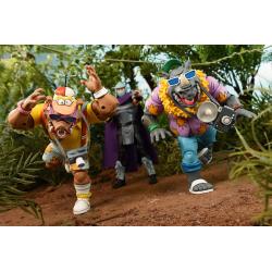 Tortugas Ninja (Cartoon 1980) Pack de 2 Figuras Vacation Bebop and Rocksteady 18 cm NECA