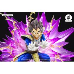 Vegeta Galick Gun TSUME