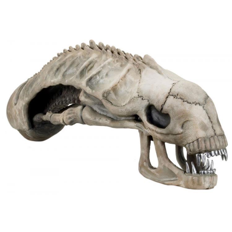 Aliens Réplica Xenomorph Skull (goma espuma/látex) 91 cm