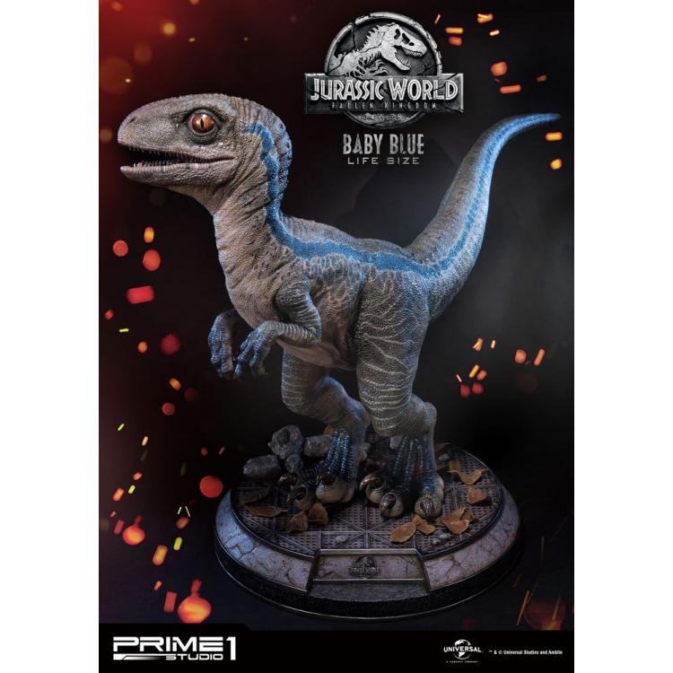 Jurassic World: Fallen Kingdom Estatua tamaño real Baby Blue 69 cm