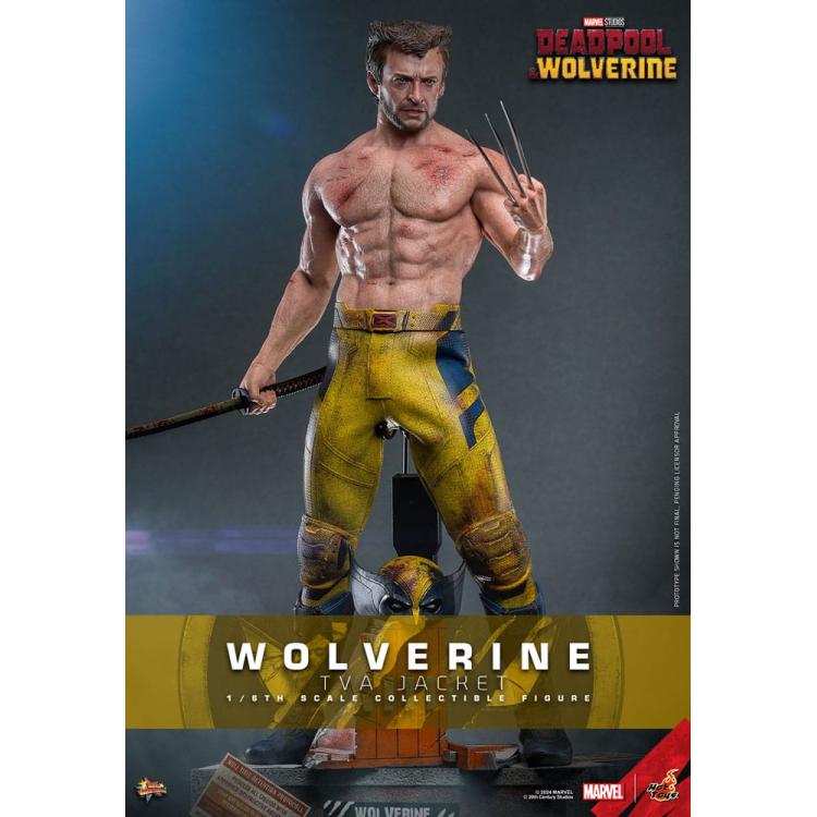 Deadpool & Wolverine Movie Masterpiece Figura 1/6 LOBEZNO(TVA Jacket Version) 31 cm HOT TOYS