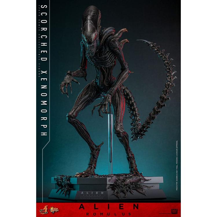 Alien: Romulus Figura Movie Masterpiece 1/6 Scorched Xenomorph 44 cm Hot Toys