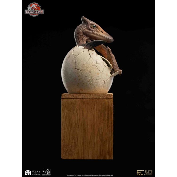  Parque Jurasico ECC Elite Creature Line Estatua 1/2 Pterosaur Hatching 16 cm Elite Creature Collectibles 