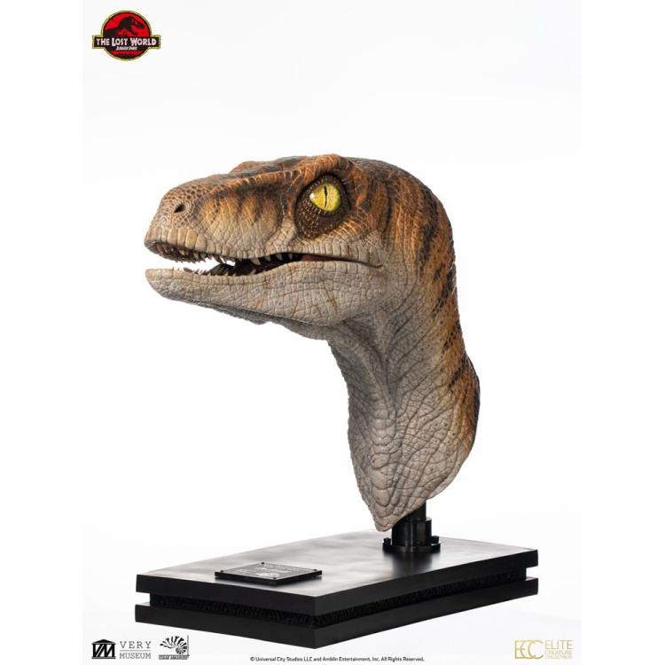 Jurassic Park Estatua tamaño real Male Velociraptor 75 cm  Elite Creature Collectibles 